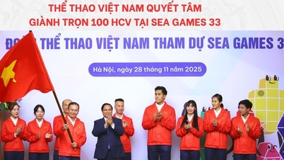 Νέα Πολιτισμού, Αθλητισμού και Τουρισμού: SEA Games 33: Ο βιετναμέζικος αθλητισμός στοχεύει σε 100 χρυσά μετάλλια