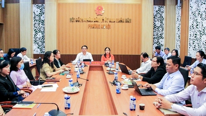 ກອງ​ປະ​ຊຸມ​ອອນ​ໄລ​ນ​໌​ສັງ​ລວມ​ໂຄງ​ການ "ສະ​ຫນັບ​ສະ​ຫນູນ​ແມ່​ຍິງ​ການ​ເລີ່ມ​ຕົ້ນ​ທຸ​ລະ​ກິດ​ໄລ​ຍະ 2017 - 2025"