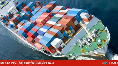 CPTPP tax leverage: A billion-dollar door for Vietnamese goods in the American market