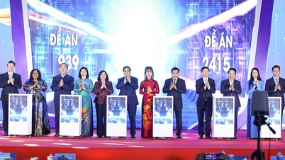 Οι Βιετναμέζες είναι «3 πρωτοπόροι», «5 μάστερ» σε δημιουργικές νεοσύστατες επιχειρήσεις