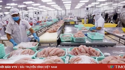 Vývoz mořských plodů do roku 2025 dosáhne 11 miliard USD