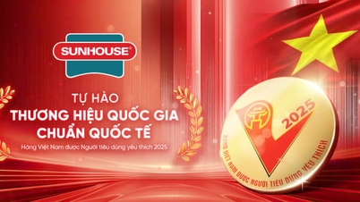 SUNHOUSE membuat tandanya dengan tajuk 'Barang Vietnam Dicintai Pengguna 2025'
