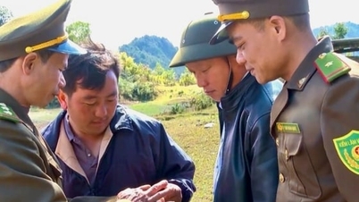 Penerapan teknologi digital pada pengelolaan dan perlindungan hutan