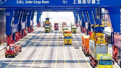 Doanh nghiệp, hợp tác xã Hải Phòng trên hành trình số hóa