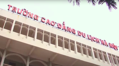 Los estudiantes están molestos porque solo recibieron 940.000 VND de ayuda A80. ¿Qué dijo el director?