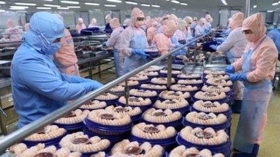 Vývoz mořských plodů by mohl do roku 2025 dosáhnout 11 miliard USD