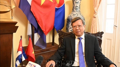 65 років відносин між В'єтнамом та Кубою: рідкісні стосунки в історії міжнародних відносин