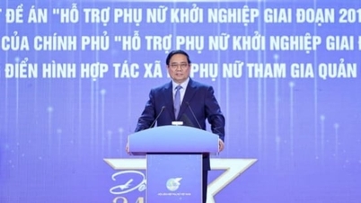 Las mujeres promueven el espíritu de ‘3 pioneros’ y ‘5 maestros’ en startups creativas