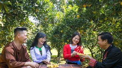 استمتع باللون البرتقالي الرائع في كاو فونج