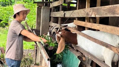 Komuna Ea M'Droh: Vytváření udržitelných zdrojů obživy z programu 1719