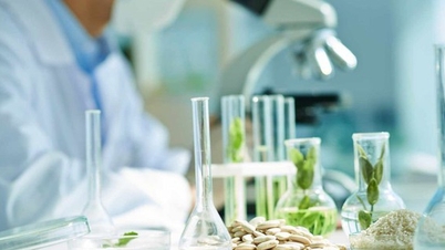 Biotechnologische innovatie, nieuwe hoop voor de Vietnamese landbouw