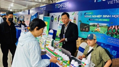 Het innovatieve startup-ecosysteem van Vietnam gaat een nieuwe fase in