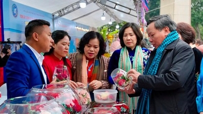 Hanoi, kadın girişimcilik hareketinde inovasyonu teşvik ediyor