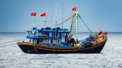 Využití digitálních technologií v řízení rybářských plavidel