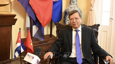 ៦៥ឆ្នាំនៃទំនាក់ទំនងវៀតណាម-គុយបា៖ ជាទំនាក់ទំនងដ៏កម្រក្នុងប្រវត្តិសាស្ត្រទំនាក់ទំនងអន្តរជាតិ