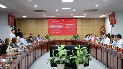 Lederne av det russiske parlamentets føderasjonsråd jobber ved Can Tho-universitetet