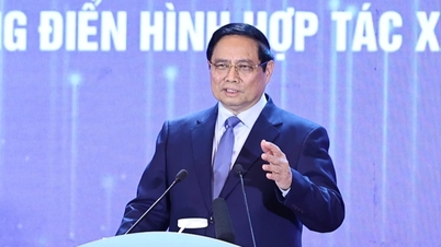 30% ویتنامی کاروباروں کی مالکان خواتین ہیں۔