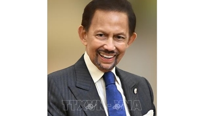 Султан Брунея-Даруссалама прибыл в Ханой, начав государственный визит во Вьетнам