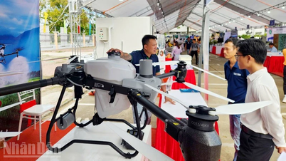 An Giang se digitálně transformuje, aby sloužil lidem i firmám