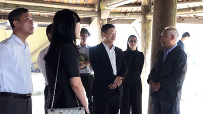 Dan Hoa erweckt den kulturellen Wert des alten Landes.