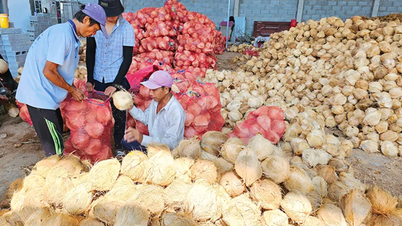 តម្លៃដូងស្ងួតបានធ្លាក់ចុះ។