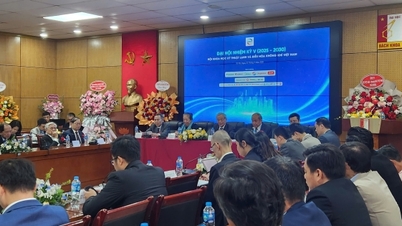 La science et la technologie créent une dynamique verte pour l'industrie du froid