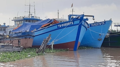Dong Thap transforme certaines activités d'exploitation des produits de la mer qui affectent les ressources