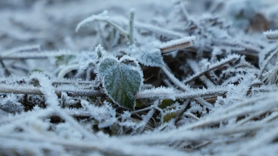 لاو كاي: صقيع أبيض يغطي قرى في مقاطعة واي تاي