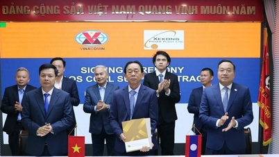 شركة TKV توقع عقد شراء الفحم مع شركاء من لاوس