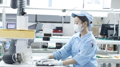 جذب الاستثمار الأجنبي المباشر: فيتنام تصبح "نجمة" في عيون المستثمرين