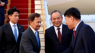 Sultan of Brunei arrives in Hanoi