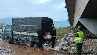 Bắt quả tang xe tải đổ trộm xà bần dưới gầm cầu Thuận Phước