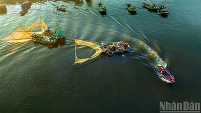 Hari baru yang ramai di pelabuhan nelayan Nghi Thuy