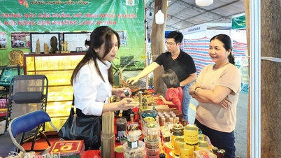 10 ngàn lượt khách tham quan Hội chợ Triển lãm sản phẩm công nghiệp nông thôn tiêu biểu