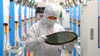 化学法2025：プラットフォーム産業の「新たな領域」