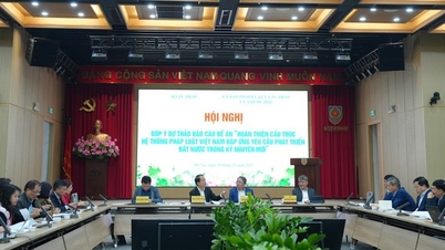 Bidra til å perfeksjonere rettssystemets struktur i den nye utviklingsfasen