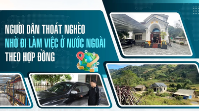 사람들은 해외에서 계약직으로 일하며 빈곤에서 벗어납니다.