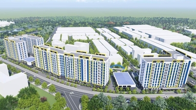 Investering på 620 miljarder VND för att bygga sociala bostäder för fackföreningar i Da Nang