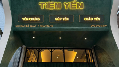 NHA TRANG KUŞ YUVASI DÜKKANI - Kıyı kentinin kalbinde kuş yuvası konusunda uzmanlaşmış bir restoran modeli inşa etmede öncü