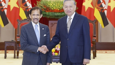 De handel tussen Vietnam en Brunei is met 165% gestegen en heeft de doelstelling van 500 miljoen USD al eerder bereikt.