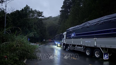 10 दिनों के यातायात व्यवधान के बाद मिमोसा पास पुनः खुला