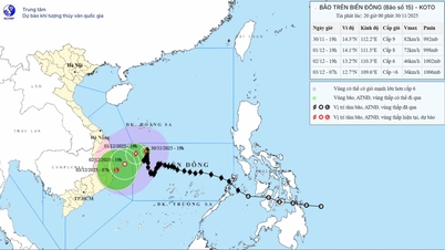 A 15-ös vihar alig mozog, Gia Lai-Dak Lak tartomány keleti partvidéke felé tart.