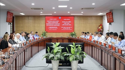 Το Πανεπιστήμιο Can Tho επιθυμεί να προωθήσει τη συνεργασία με ρωσικά ιδρύματα και σχολεία στον ψηφιακό μετασχηματισμό