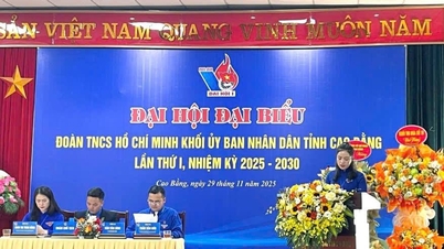 科学技術省の代表団は、2025～2030年任期のカオバン省人民委員会ホーチミン共産主義青年連合第1回大会に出席した。