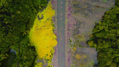 Το Tam Coc είναι γλυκό στην εποχή του λωτού