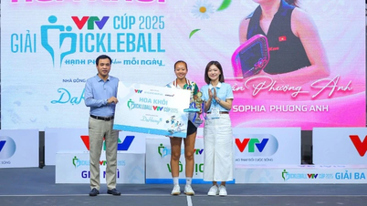 Завершается чемпионат по пиклболу VTV Cup 2025