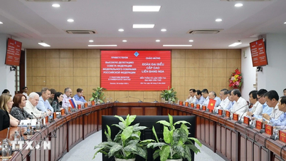 Αντιπροσωπεία του Ομοσπονδιακού Συμβουλίου του Κοινοβουλίου της Ρωσικής Ομοσπονδίας επισκέφθηκε και συνεργάστηκε με το Πανεπιστήμιο Can Tho