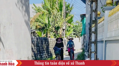 Ainda existem dificuldades na modernização do transporte rural.