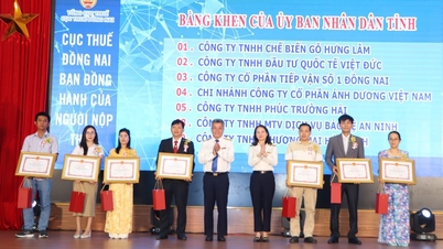 Dong Nai sprint om 100 biljoen VND aan begrotingsinkomsten te verzamelen