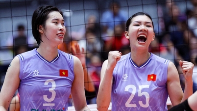 Etter Thanh Thuy ble Bich Thuy rost av det japanske volleyballmiljøet.